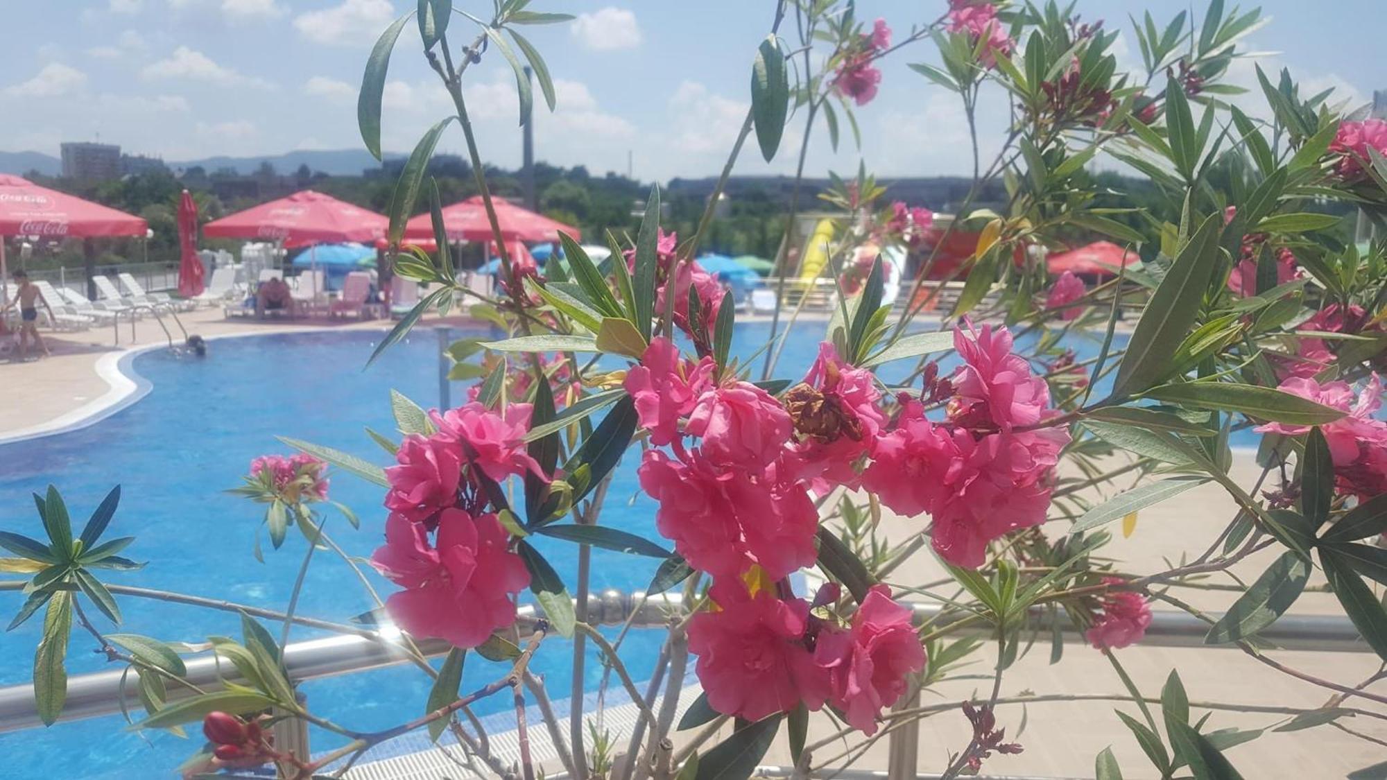 Hotel Aqua Κάρτζαλι Εξωτερικό φωτογραφία